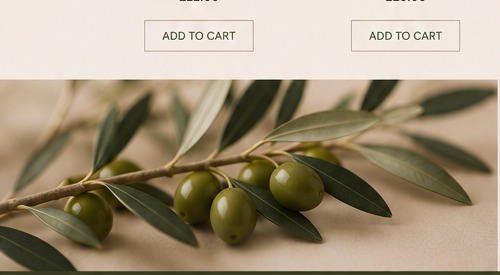 Olive branch and olives